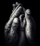 Uživatelský avatar